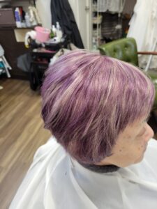 パープル　ハイライト　￥９５００